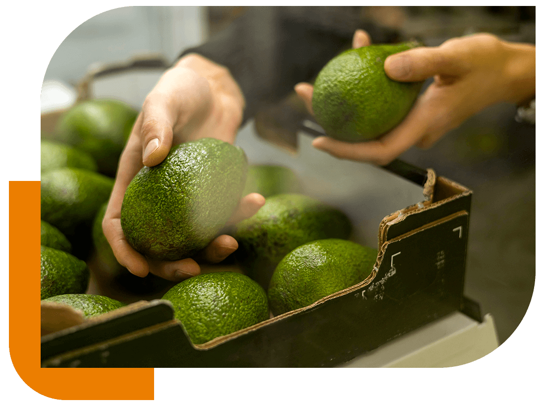 Soluciones comerciales Soluciones comerciales